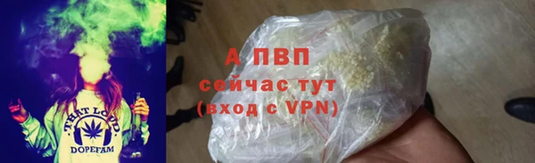 шишки Ростов