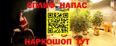 стафф Краснокаменск