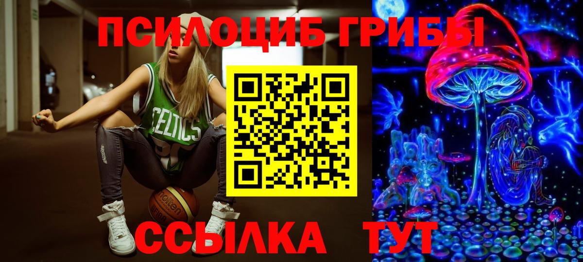 Зеленокумск  Псилоцибиновые грибы Psilocybine cubensis  Псилоцибиновые грибы мицелий  закладка  Вход с VPN 