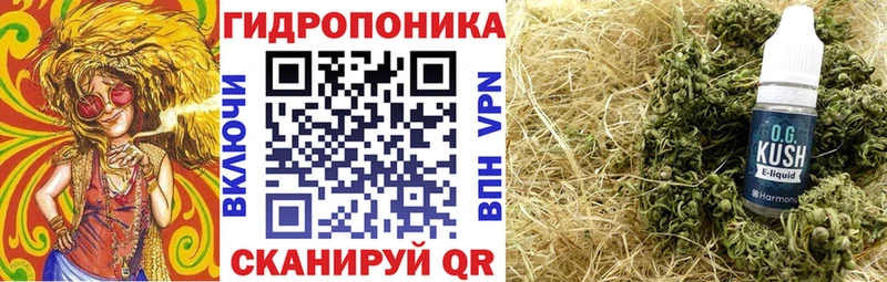 mega как зайти  Зеленокумск  Марихуана сатива  где найти  